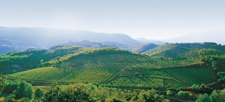 poggio al mulino landschaft 2-1